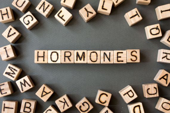 Wooden blocks spelling out "Hormones"